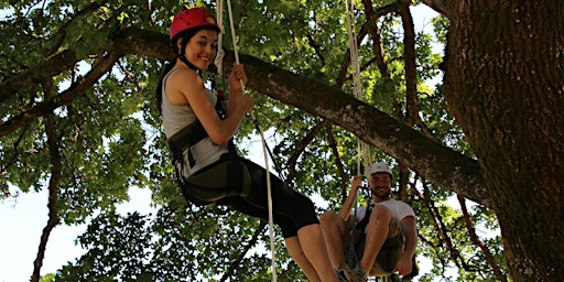 Imagem principal de Experience the Canopy with Tree Time