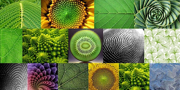 Biomimicry as Innovation and Funding Driver