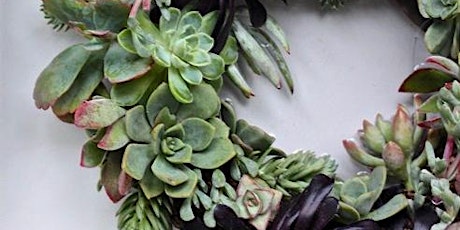 SUCCULENT WREATH MAKING WORKSHOP - Group class primary image