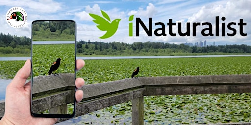Environment Week - Guided Nature Walk using the iNaturalist app