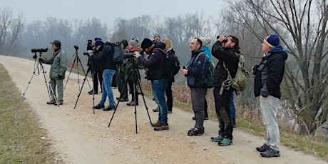 Passeggiata con Verona Birdwatching - Avifauna e Biodiversità