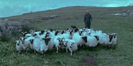 The Shepherds of Berneray primary image