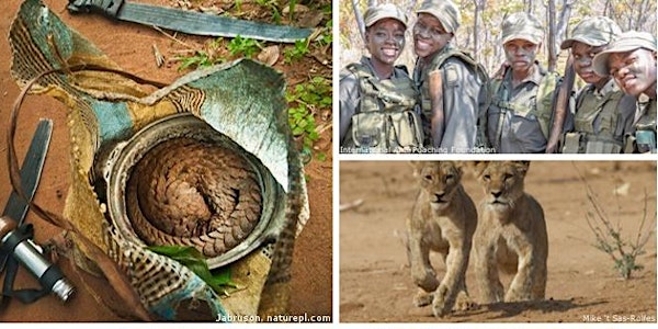 Illegal Wildlife Trade Seminar