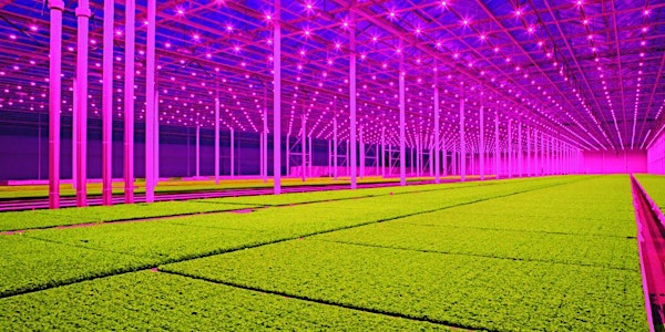 Thursday Night Live! Automated Landscapes
