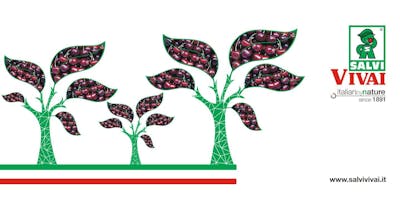 HIGH DENSITY CHERRY TREE'S SYSTEM: A SUCCESSFUL ECONOMICAL IMPLANT HIGH DENSITY CHERRY TREE'S SYSTEM: A SUCCESSFUL ECONOMICAL IMPLANT