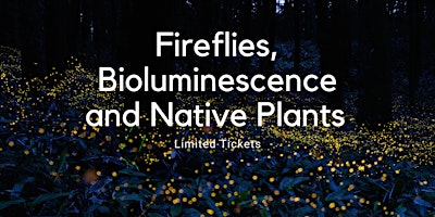 Immagine principale di Fireflies, Bioluminescence and Native Plants 