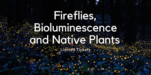 Fireflies, Bioluminescence and Native Plants June 29th
