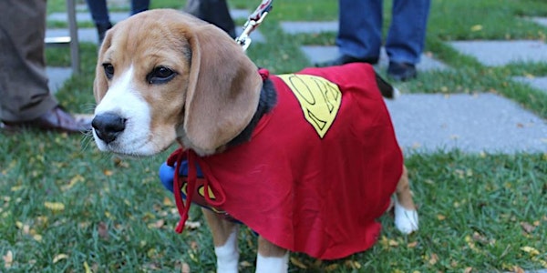 Seaport's Howl-o-ween Costume Party 2018! - CANCELED!