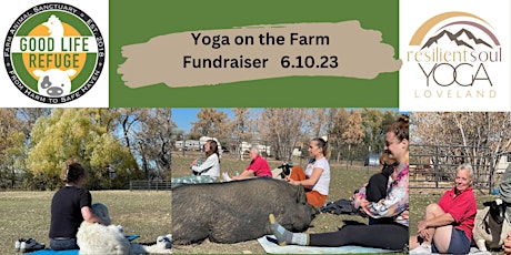 Yoga at the Sanctuary and Mini Farm Tour Fundraiser