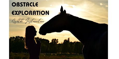 Equine Obstacle Exploration with Instruction
