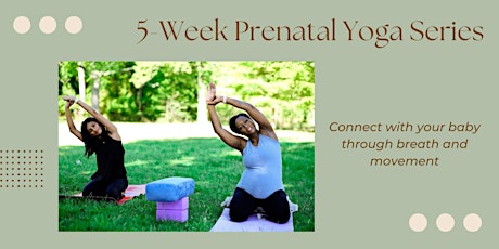 Prenatal Yoga Series: Connecting with Your Baby Through Breath and Movement