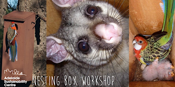 Build your own wildlife nesting box for birds, bats or possums