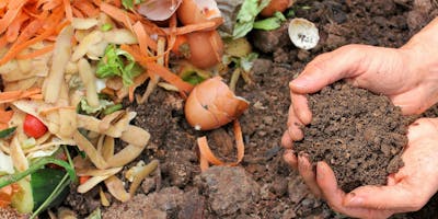 Beginners guide to compost and worms