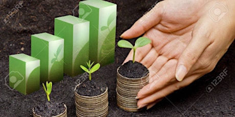 Immagine principale di Finance for a more sustainable growth: what role for LTIs? 