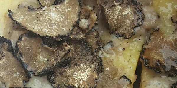 Tartufo & Alogastronomia nel borgo medioevale di Apecchio!
