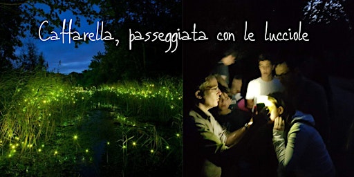 Imagen principal de Caffarella, passeggiata con le lucciole