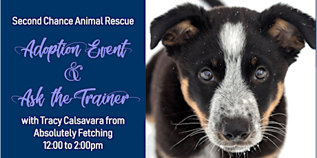 Adoption Event & Ask the Trainer primary image
