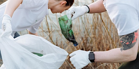 Island Lake Fall Litter Cleanup primary image