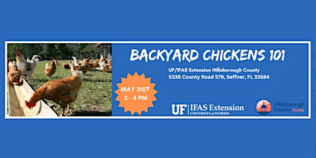 Backyard Chickens 101