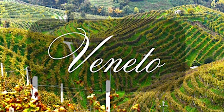 Wine Tour of Veneto
