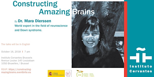 Constructing Amazing Brains