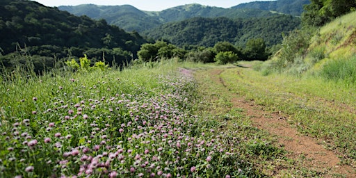 Morning Hike at Rancho Cañada del Oro  primärbild