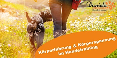 Immagine principale di 2-teiliger Workshop Körperführung & Körperspannung im Hundetraining 