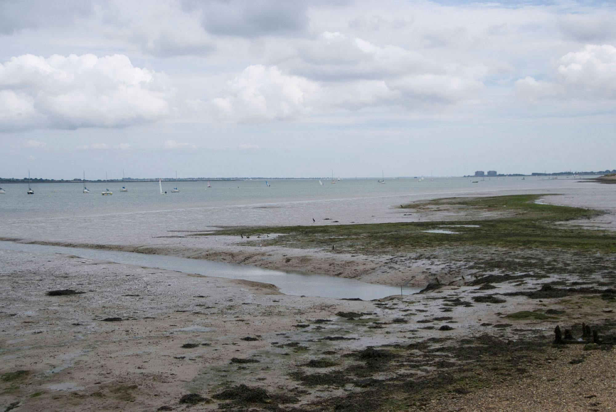 Lee-on-Solent, Hampshire - GEOLOGICAL AND FOSSIL FIELD TRIP