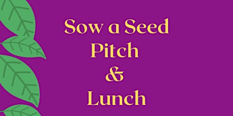 Sow a Seed, Pitch and Lunch