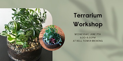 Terrarium Workshop primary image
