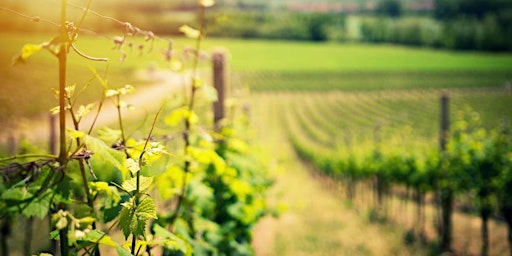 Hauptbild für Wein und Klimawandel - Eine informative Weinprobe