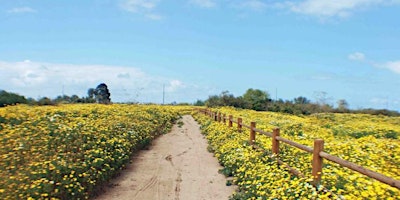 Immagine principale di Bicycle Warehouse Chula Vista Monday Evening MTB Rides 