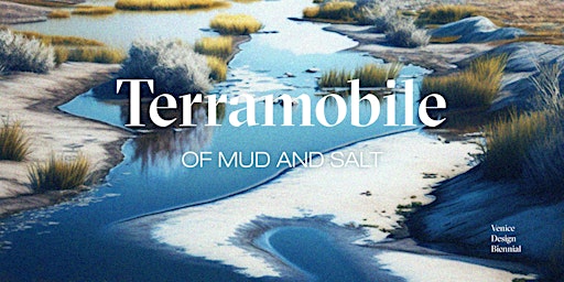 Immagine principale di Terramobile: of mud and salt 
