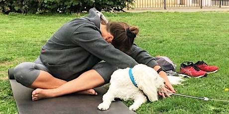 FREE DOGA CLASS IN SE16 (Human + Dog) + Optional Social Picnic primary image