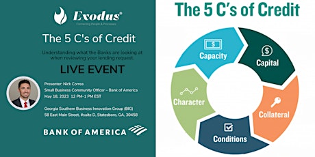 The 5 C's of Credit primary image