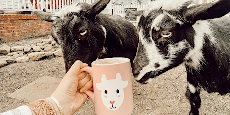 Coffee with Goats primary image