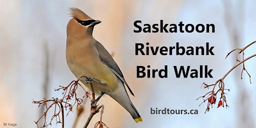 Mother's Day - Saskatoon Riverbank Bird Walk primary image