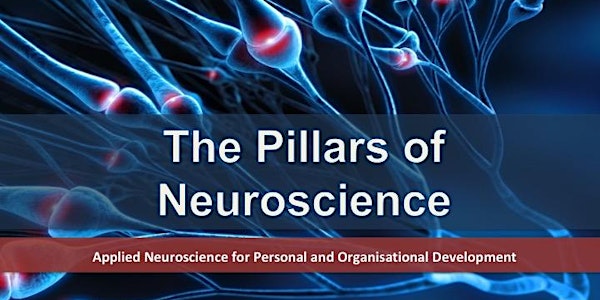 Pillars of Neuroscience for Personal and Organisational Development