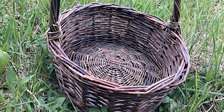 Willow Basketry Workshop