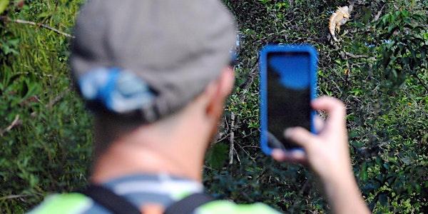 2018 Broward County BioBlitz