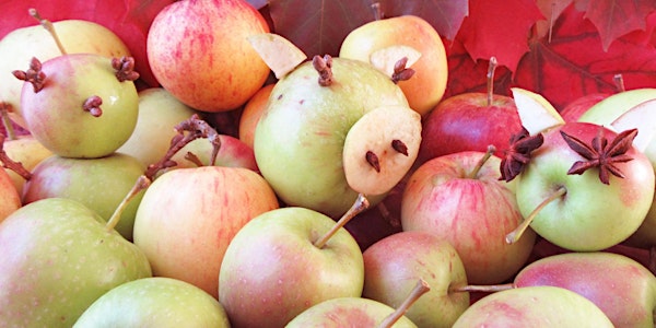 The MERL Family Event: Awesome Apples