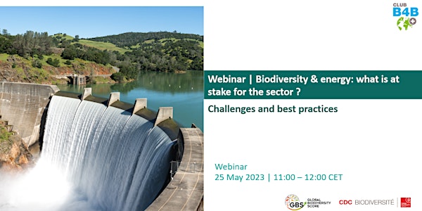 Webinar | Biodiversity & energy: what is at stake for the sector ?