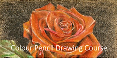 Coloured Pencil Drawing Course by Xiang Ling – MP20230718CPD