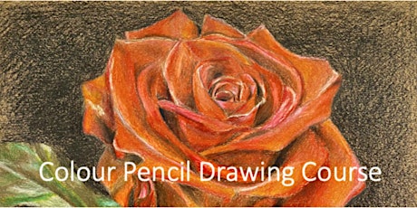 Coloured Pencil Drawing Course by Xiang Ling - TP20230703CPD