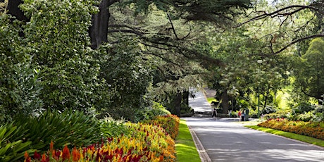 Urban Hike: Melbourne's Parks & Gardens primary image