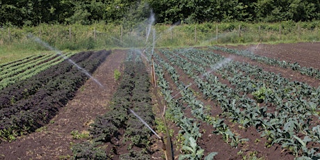 WSDA Produce Safety Workshop: Production Water Quality Standards for GAP and FSMA primary image