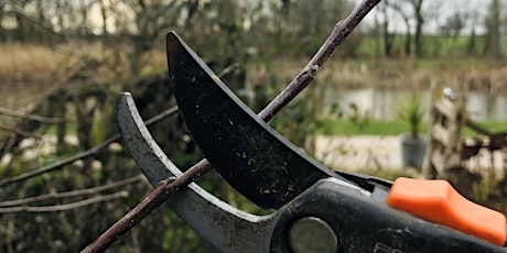 Hauptbild für Practical Pruning- pruning stone fruit trees