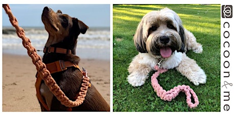 Macramé Dog Leads Workshop