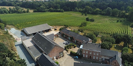 Découverte des vins du domaine du Chapitre à Nivelles, dégustation & buffet