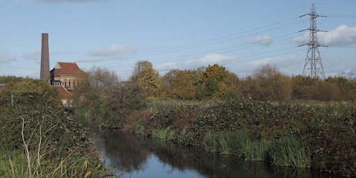 Imagen principal de London Rivers Week Walk at Walthamstow Wetlands